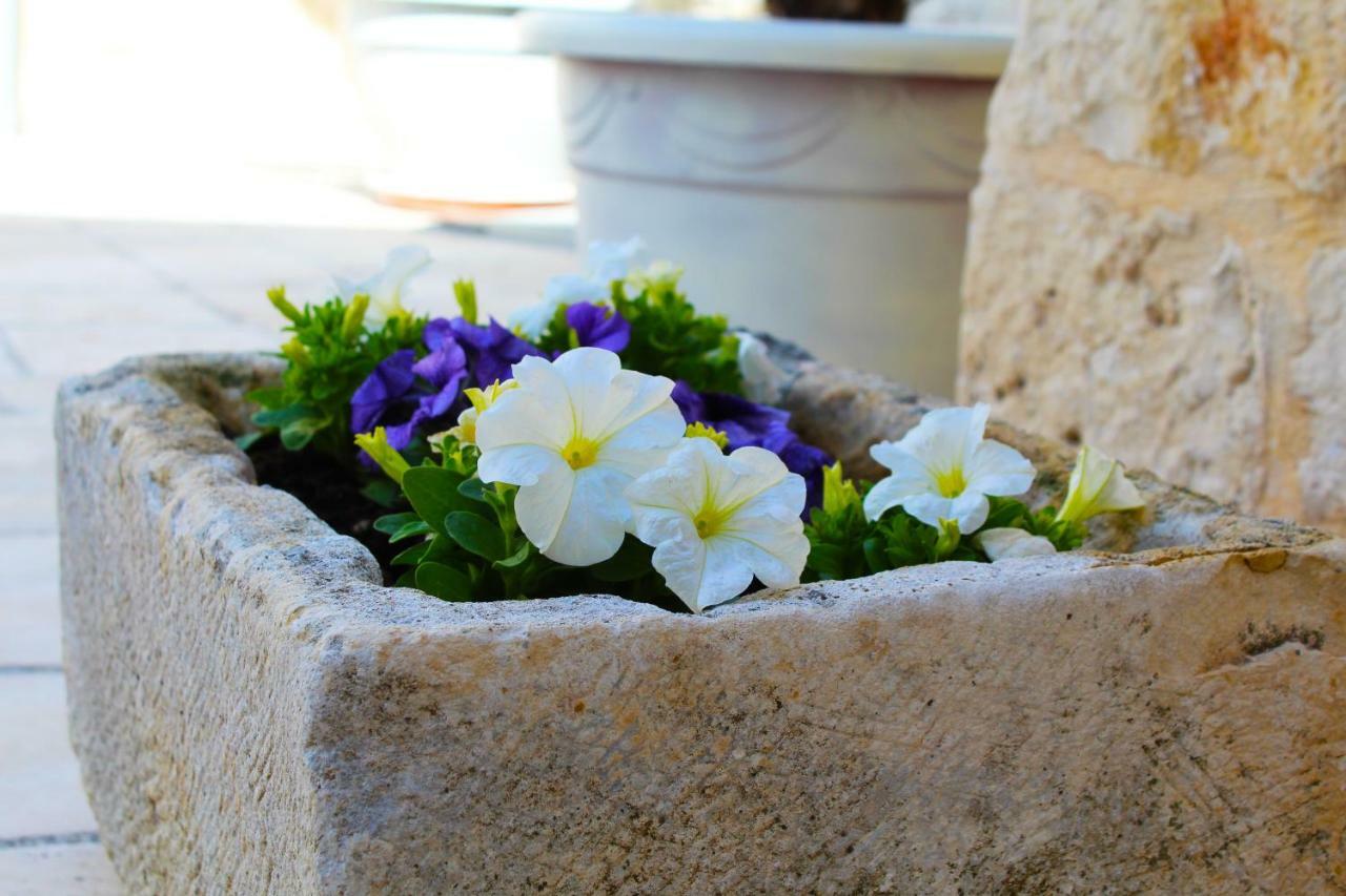 Trulli Antica Fonte Bed & Breakfast Alberobello Exterior photo